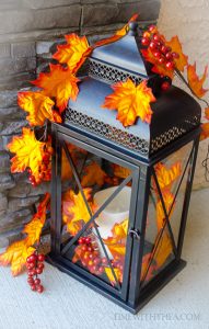 Florida Fall Patios
