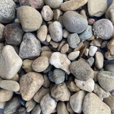 R Jacks Brown - Various Sizes