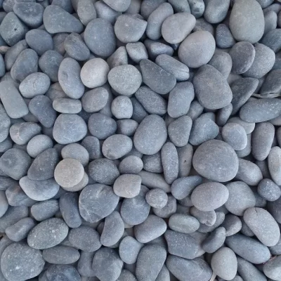 Mexican Beach Pebbles