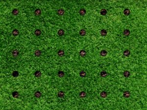 lawn aeration