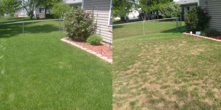aeration before and after - Roedell's Landscaping