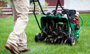 lawn aeration