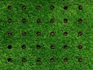 lawn aeration