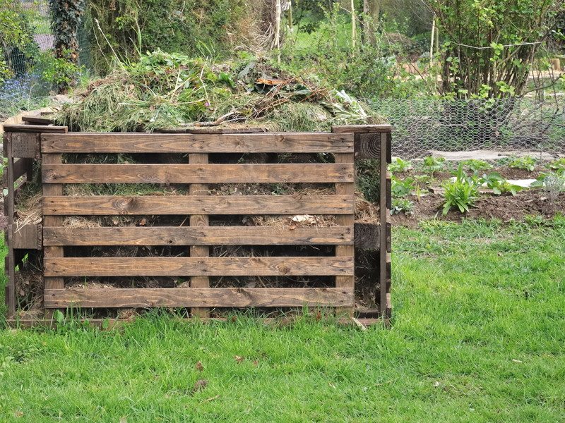 recycle Christmas trees in a compost pile