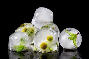 how to protect your plants from frost