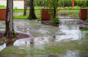 drainage solutions orlando