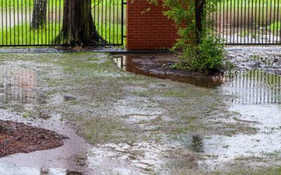 How to Stop Flooding With These Landscape Drainage Solutions