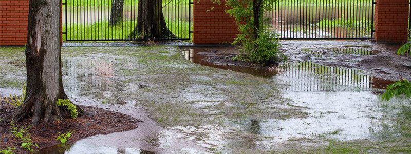 How to prevent muddy runoff on back patio?