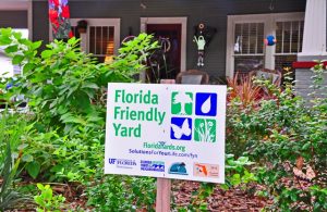 Orlando Landscapers