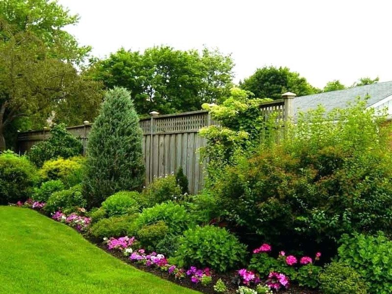 Landscaping Ideas For Full Sun Yards, Central Florida Landscaping Ideas