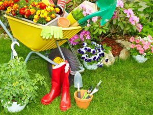 gardening gifts