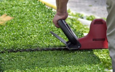 Spring Lawn Care Tips: How To Trim Your Hedges Like A Pro