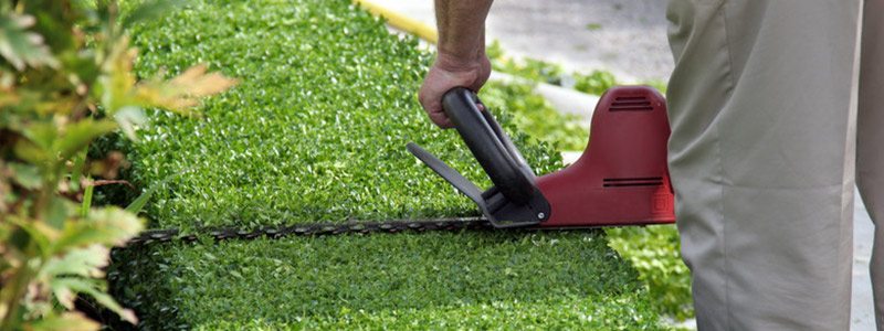 Spring Lawn Care Tips: How To Trim Your Hedges Like A Pro