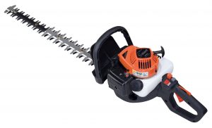 spring lawn care tips