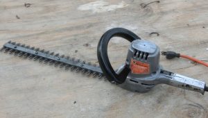 spring lawn care tips
