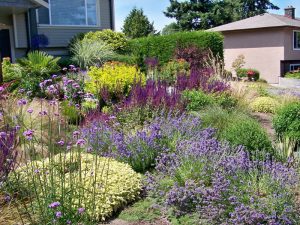 full sun landscaping