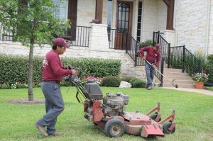 lawn treatment service