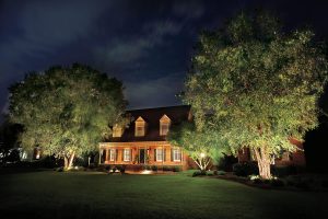 orlando+landscape+lighting