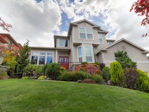 spring lawn care tips