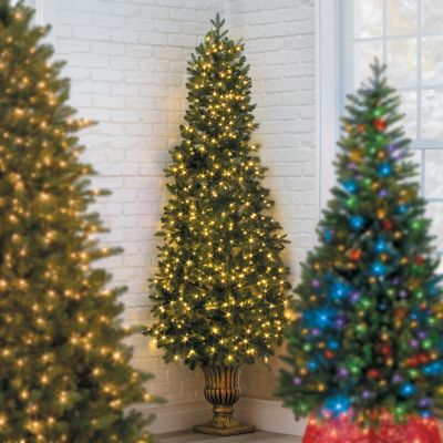 Decorate outdoor Christmas tress