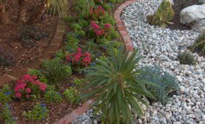 orlando+landscaping+companies