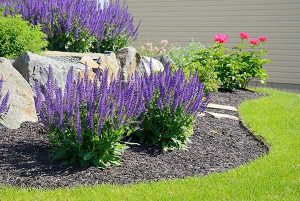 Mulching Services Orlando