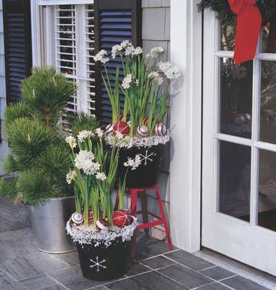 Holiday Planters