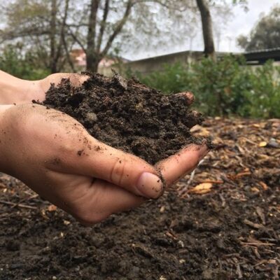 Soil & Dirt