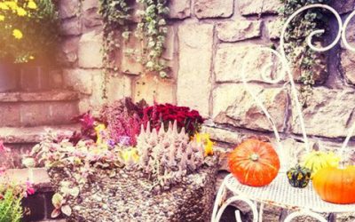 Fall Florida Patio Ideas You’ll Love!