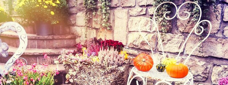 Fall Florida Patio Ideas You’ll Love!