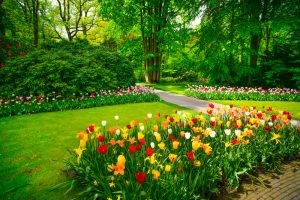 Landscaping Terms
