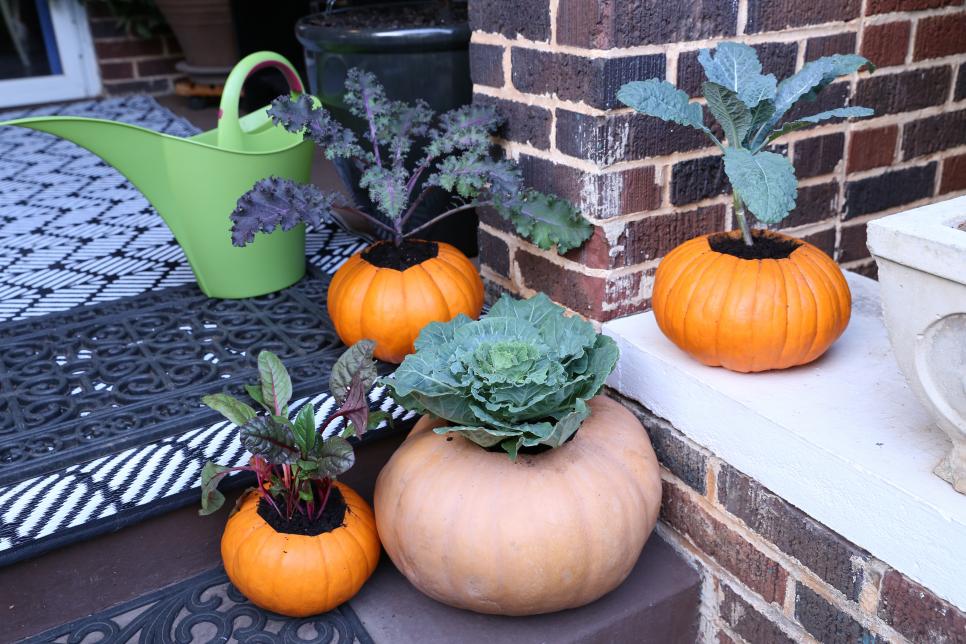 Pumpkin Planters