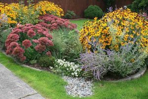 Rain Garden