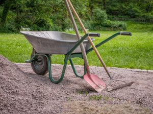 spring lawn care tips