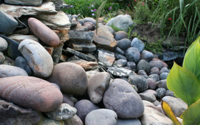 Enhance your Orlando Landscape with Rock