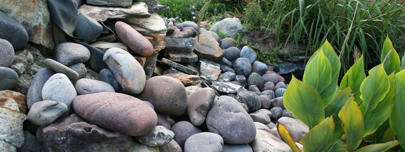 Enhance your Orlando Landscape with Rock