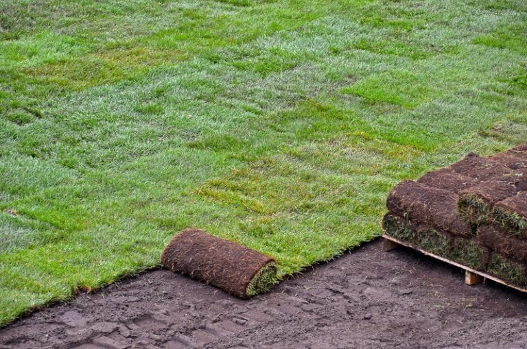 Fall is the best time to plant Sod! Roedell's Landscaping