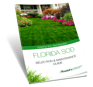 What to know before hiring a landscaper