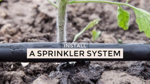 sprinkler systems