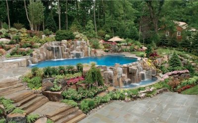 The Best Plants for Swimming Pool Landscaping